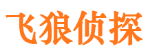 魏都市调查公司